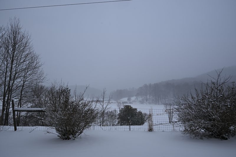 DSC_0215.JPG